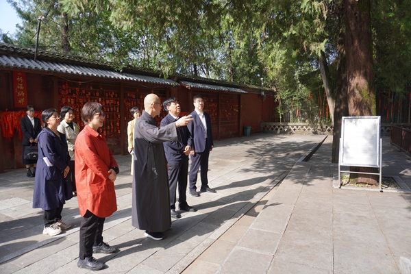 1763516984738554.jpg _頭條圖(1773651)-20251119094724.jpg